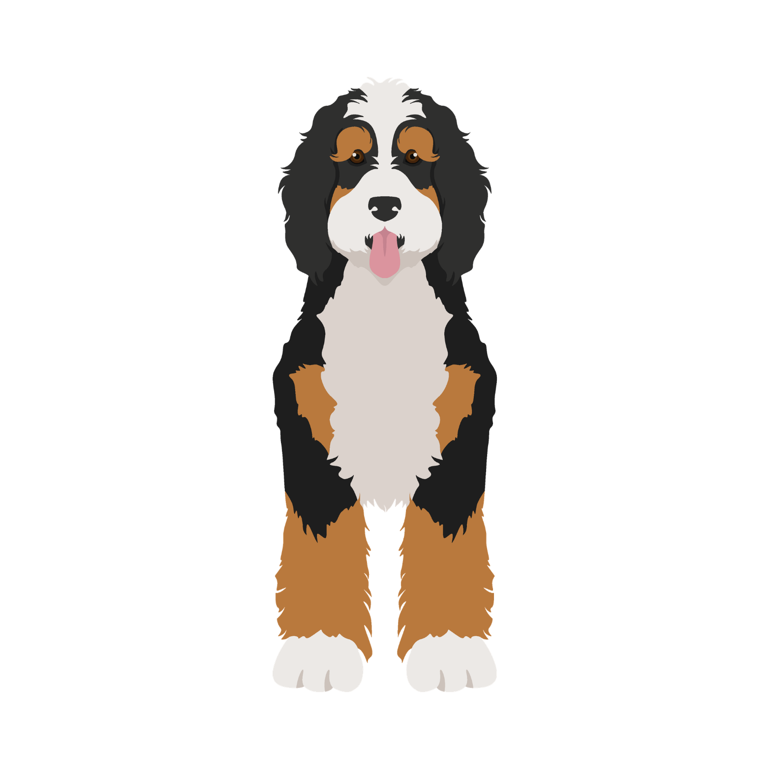 Bernese Mountain Dog